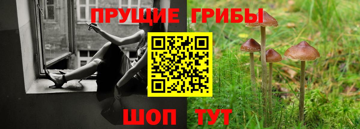 Сердобск  Псилоцибиновые грибы Psilocybine cubensis  Псилоцибиновые грибы прущие грибы  Вход с VPN 